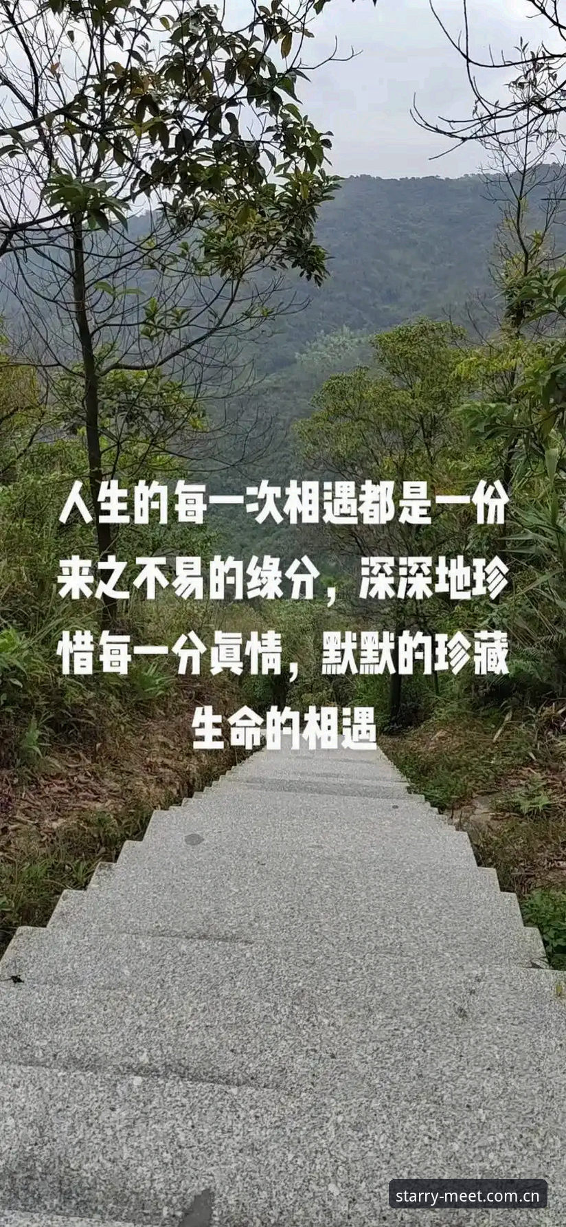 每一次相逢都辽阔登录入口对比 每一次相逢都辽阔登录入口对比指南:别再只盯着同一个洞口