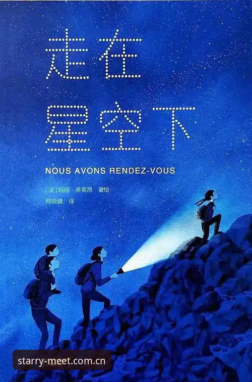 星空娱乐平台寻光者cn login详解：从入口到数据的完整路线图